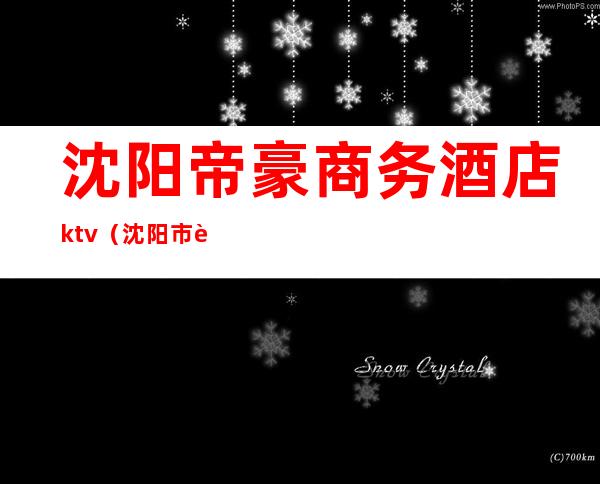 沈阳帝豪商务酒店ktv（沈阳市豪登国际酒店）