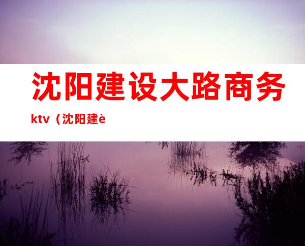 沈阳建设大路商务ktv(沈阳建设中路)