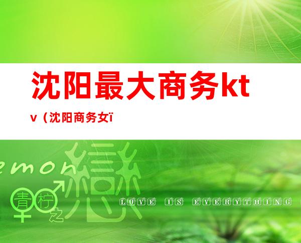 沈阳最大商务ktv(沈阳商务女)