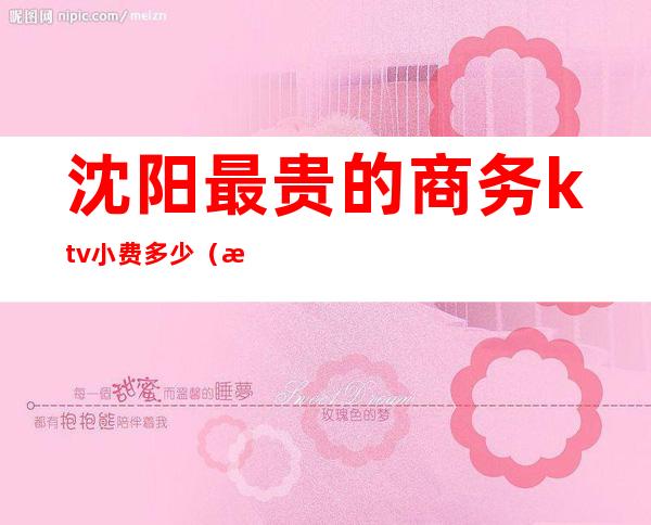 沈阳最贵的商务ktv小费多少（沈阳最贵的商务ktv小费多少）