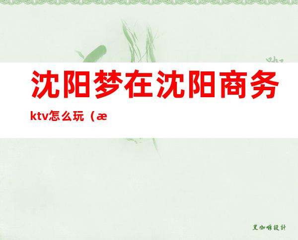 沈阳梦在沈阳商务ktv怎么玩（梦在沈阳ktv咋样）
