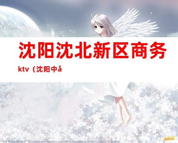沈阳沈北新区商务ktv(沈阳中央商务区)