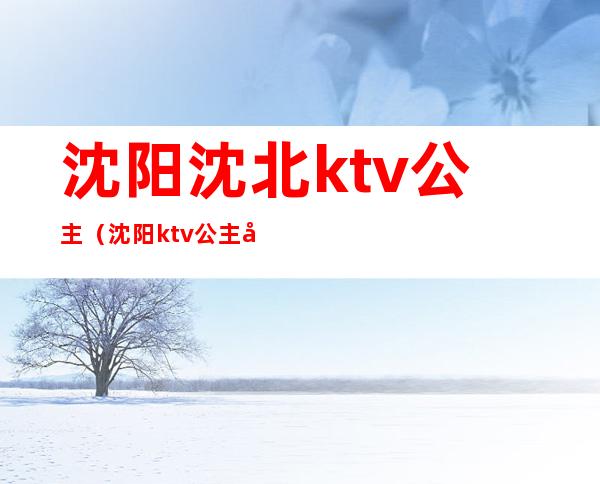 沈阳沈北ktv公主(沈阳ktv公主小费多少)