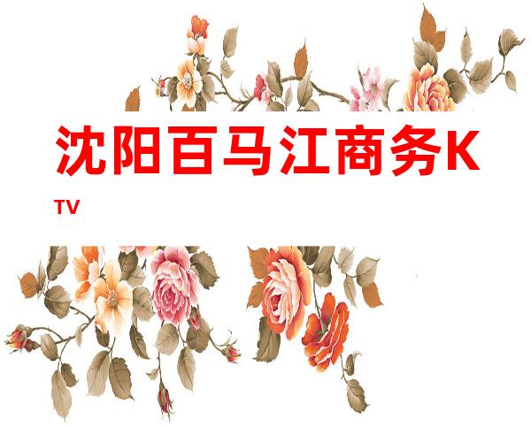沈阳百马江商务KTV