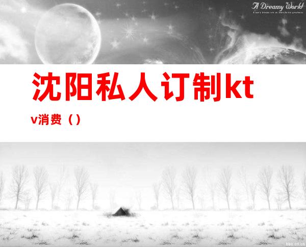 沈阳私人订制ktv消费()