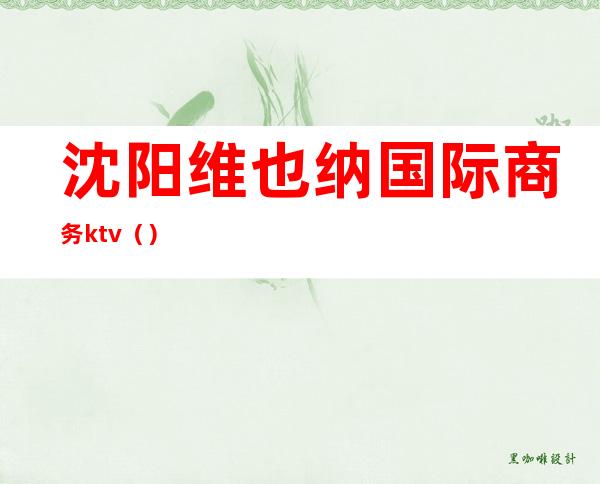 沈阳维也纳国际商务ktv()