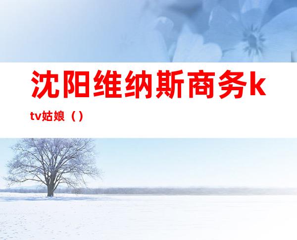 沈阳维纳斯商务ktv姑娘()