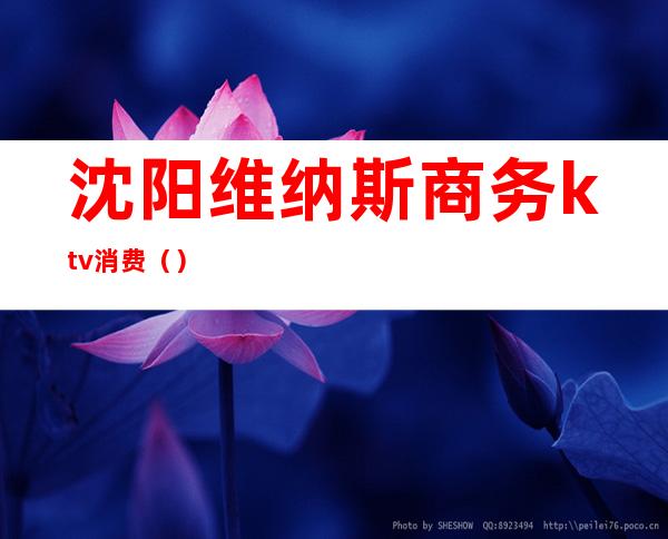 沈阳维纳斯商务ktv消费（）