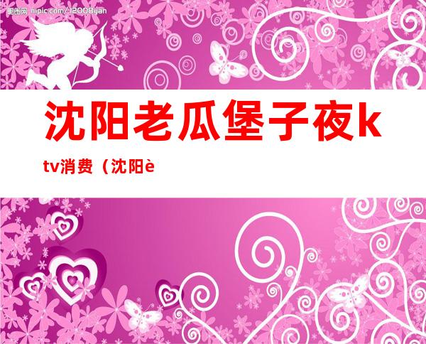 沈阳老瓜堡子夜ktv消费(沈阳老瓜堡子夜ktv消费高吗)