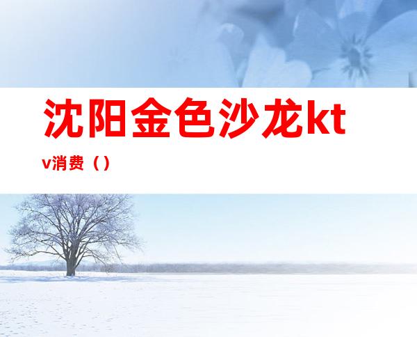 沈阳金色沙龙ktv消费（）