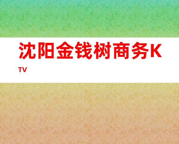 沈阳金钱树商务KTV