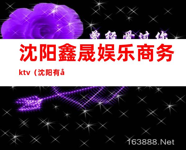 沈阳鑫晟娱乐商务ktv(沈阳有娱乐经纪公司吗)