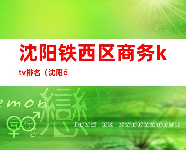 沈阳铁西区商务ktv排名(沈阳铁西ktv哪家最好)