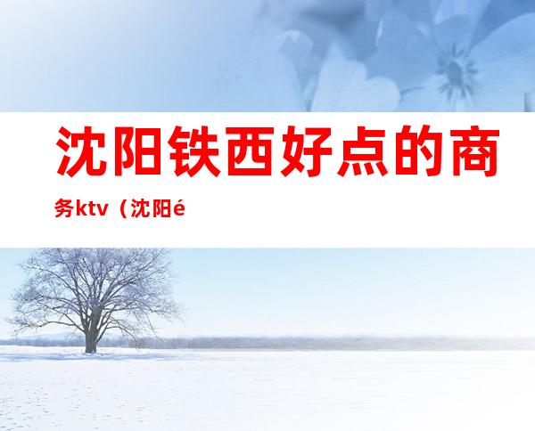 沈阳铁西好点的商务ktv(沈阳铁西怎样)
