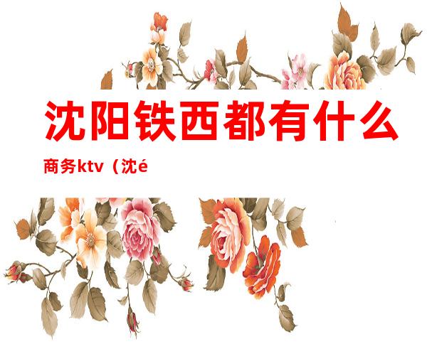 沈阳铁西都有什么商务ktv（沈阳铁西服装城）