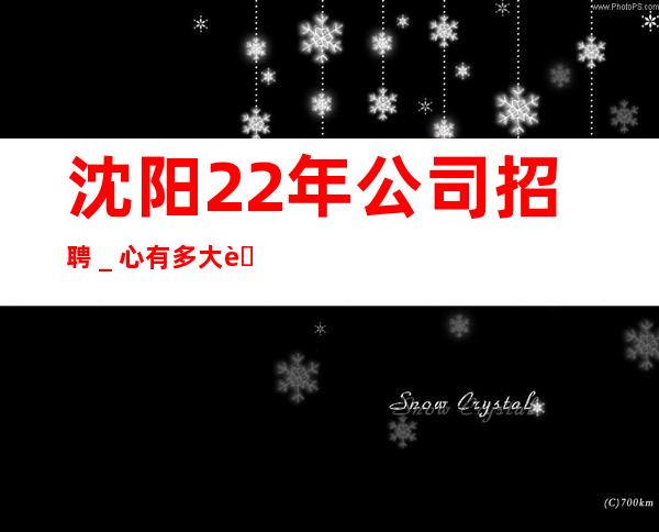 沈阳22年公司招聘_心有多大舞台就有多大