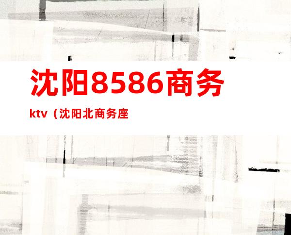 沈阳8586商务ktv(沈阳北商务座)