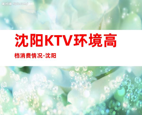 沈阳KTV环境高档消费情况-沈阳多家场所安排挑满意再消费
