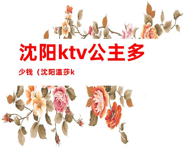 沈阳ktv公主多少钱(沈阳温莎ktv公主多少一个)