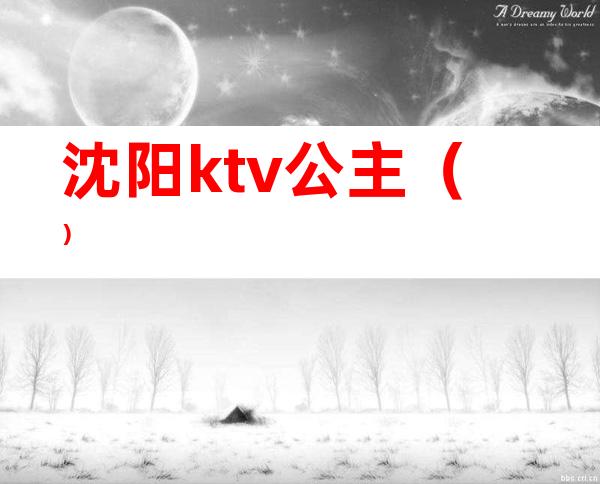 沈阳ktv公主()