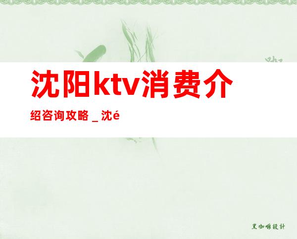 沈阳ktv消费介绍咨询攻略＿沈阳Praty.r夜总会