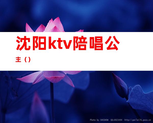 沈阳ktv陪唱公主()