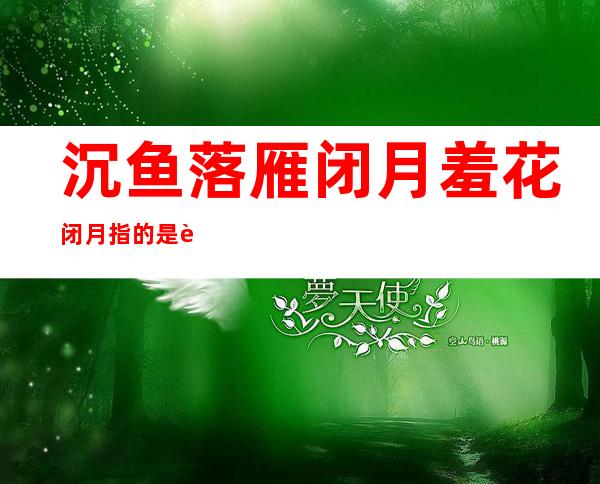 沉鱼落雁闭月羞花闭月指的是谁(沉鱼落雁闭月羞花闭月是什么意思)