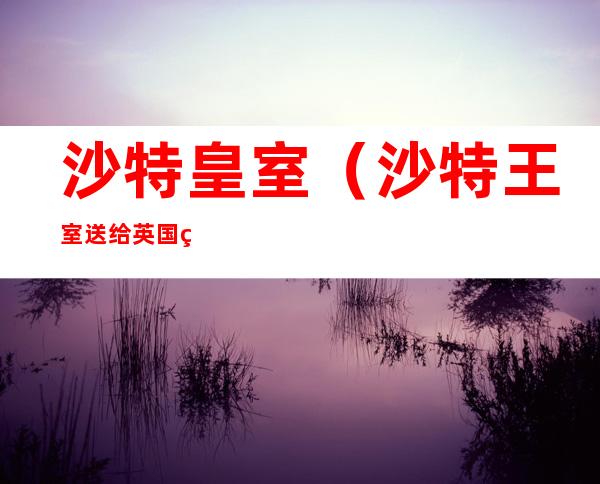 沙特皇室(沙特王室送给英国皇室的珠宝)