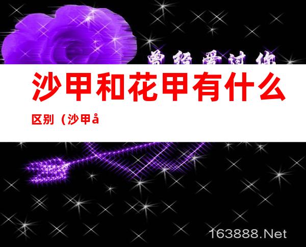 沙甲和花甲有什么区别(沙甲和花甲有什么区别吗)