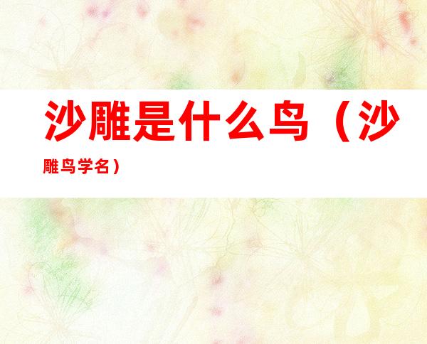 沙雕是什么鸟(沙雕鸟学名)