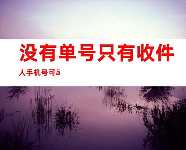 没有单号只有收件人手机号可以查快递吗(没有单号只有收件人手机号可以查物流吗)