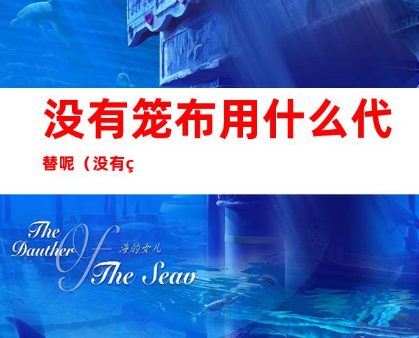 没有笼布用什么代替呢(没有笼布用锡纸代替)