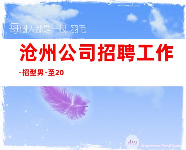 沧州公司招聘工作-招型男-至20起
