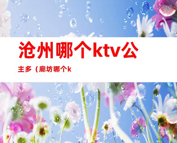 沧州哪个ktv公主多(廊坊哪个ktv公主)