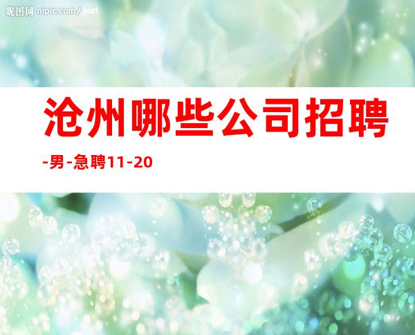 沧州哪些公司招聘-男.-急聘11-20