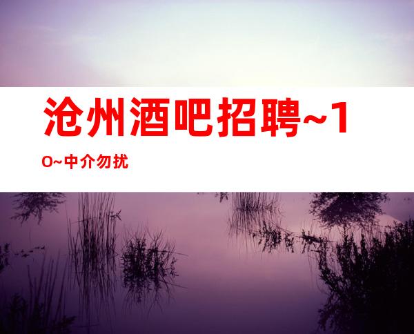 沧州酒吧招聘~1O~中介勿扰