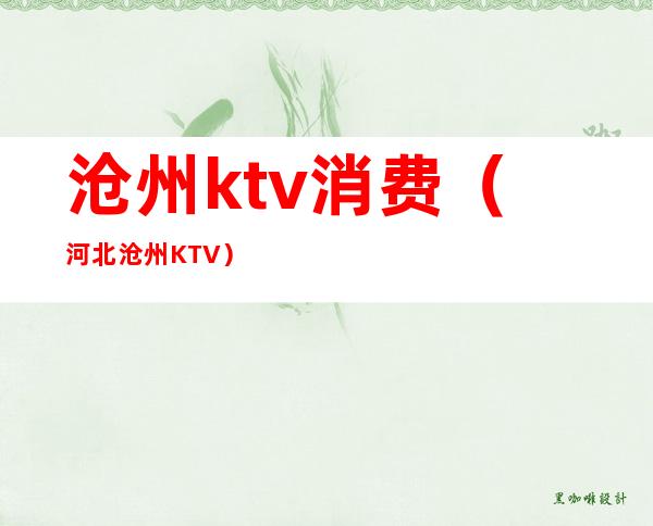 沧州ktv消费(河北沧州KTV)