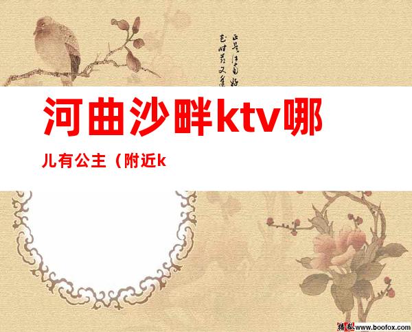 河曲沙畔ktv哪儿有公主（附近ktv公主）