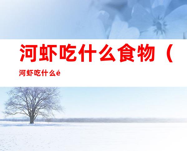 河虾吃什么食物(河虾吃什么食物生活左哪里)