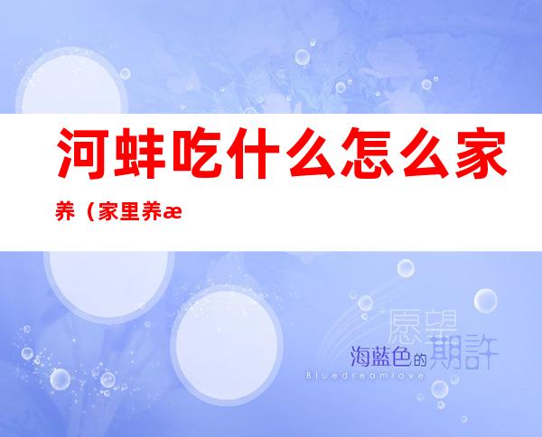 河蚌吃什么怎么家养（家里养河蚌吃什么）