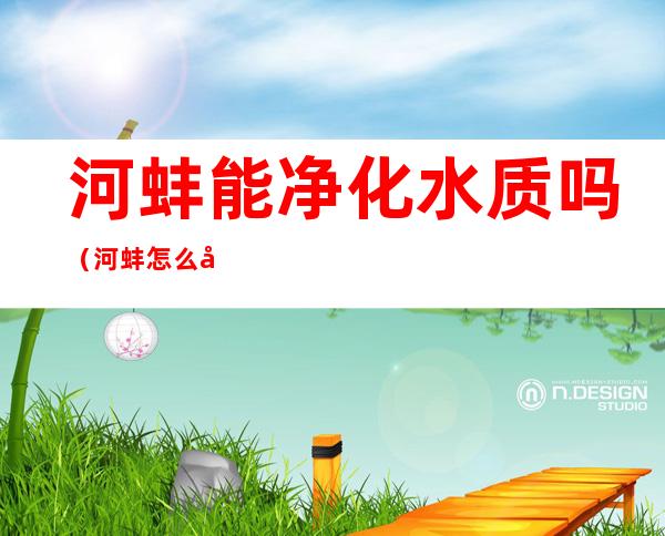 河蚌能净化水质吗(河蚌怎么净化水质)