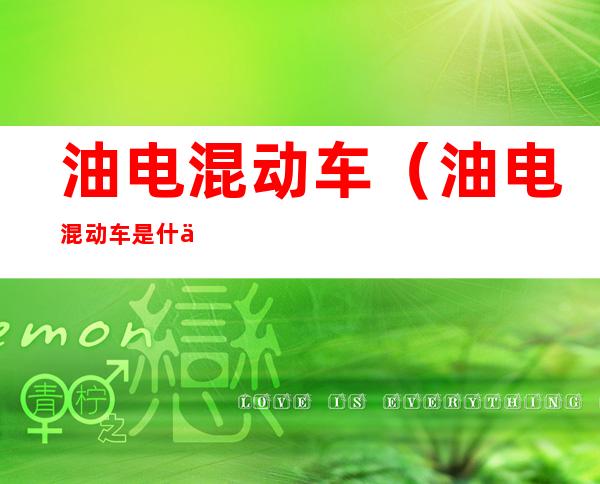 油电混动车(油电混动车是什么意思)