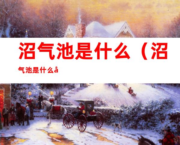 沼气池是什么（沼气池是什么原理）