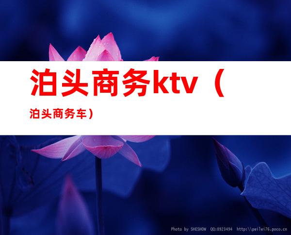 泊头商务ktv(泊头商务车)