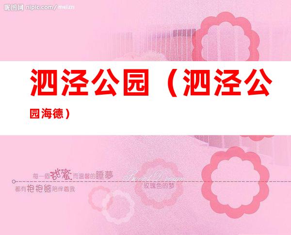 泗泾公园(泗泾公园海德)