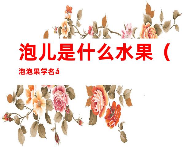 泡儿是什么水果(泡泡果学名叫什么)