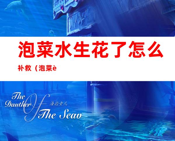 泡菜水生花了怎么补救(泡菜进生水了怎么办)