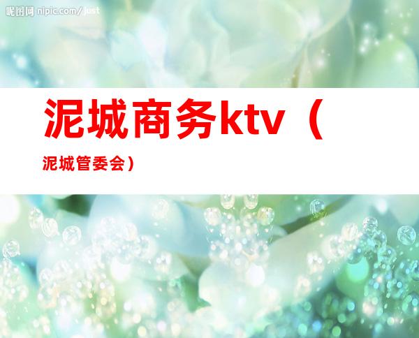 泥城商务ktv(泥城管委会)
