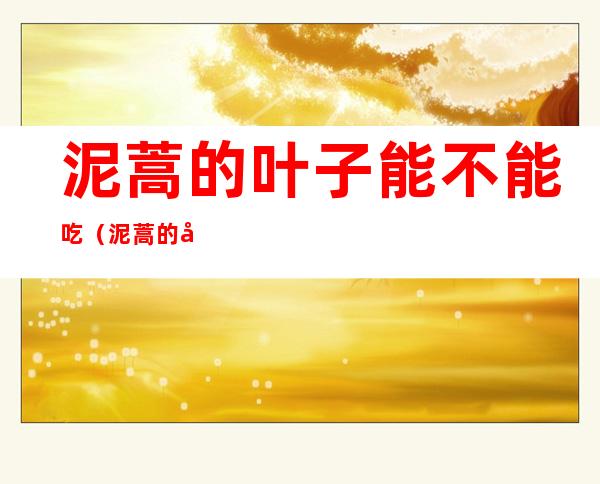 泥蒿的叶子能不能吃(泥蒿的叶子能不能吃,什么功效)