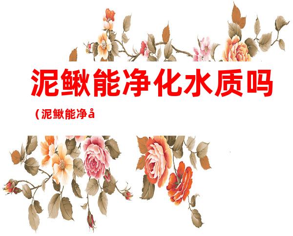 泥鳅能净化水质吗（泥鳅能净化水质吗鱼能吃吗）